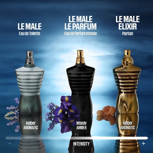 JEAN PAUL GAULTIER-The Male - Eau de Toilette JEAN PAUL GAULTIER-The Male - Eau de Toilette